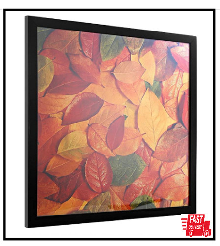 11x11 picture frame - picture,