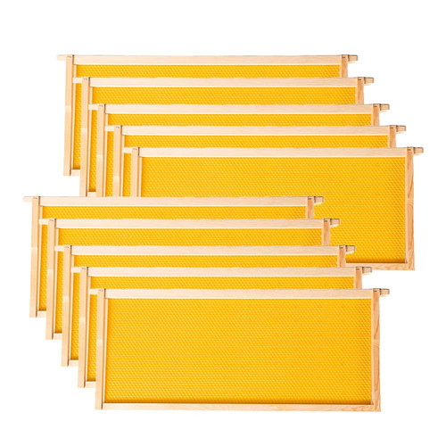 Deep brood beehive frames - brood,